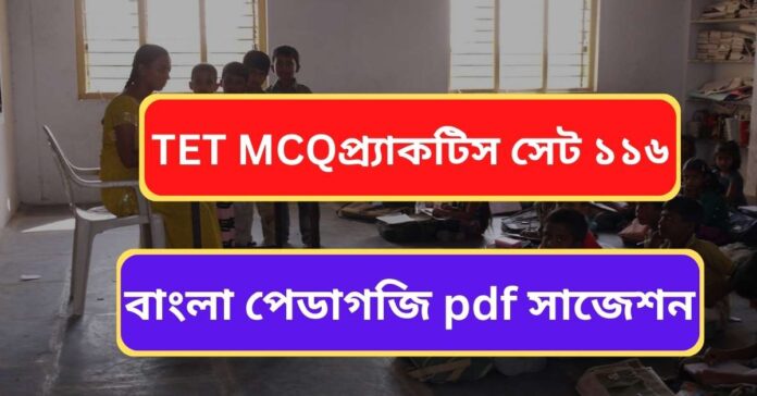 wb-tet-bangla-pedagogy-pdf
