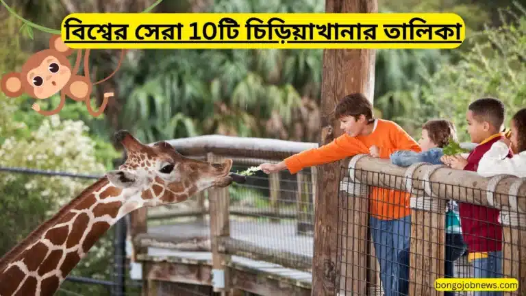 বিশ্বের সেরা 10টি চিড়িয়াখানার তালিকা | Best zoos in the world